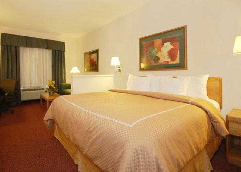 Comfort Suites New Braunfels Habitación foto