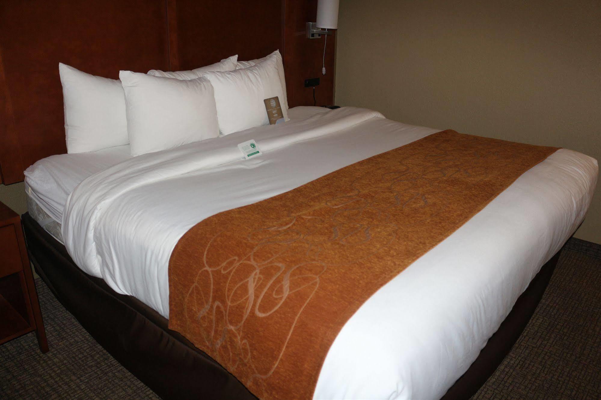 Comfort Suites New Braunfels Exterior foto